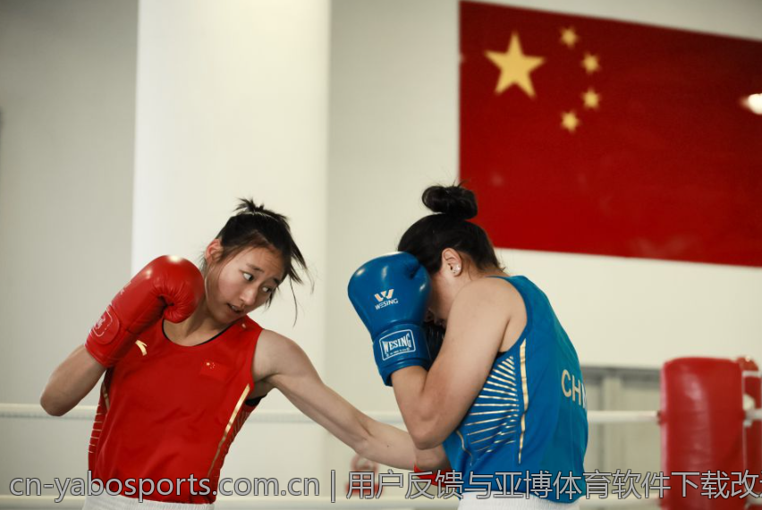 用户反馈与亚博体育软件下载改进建议